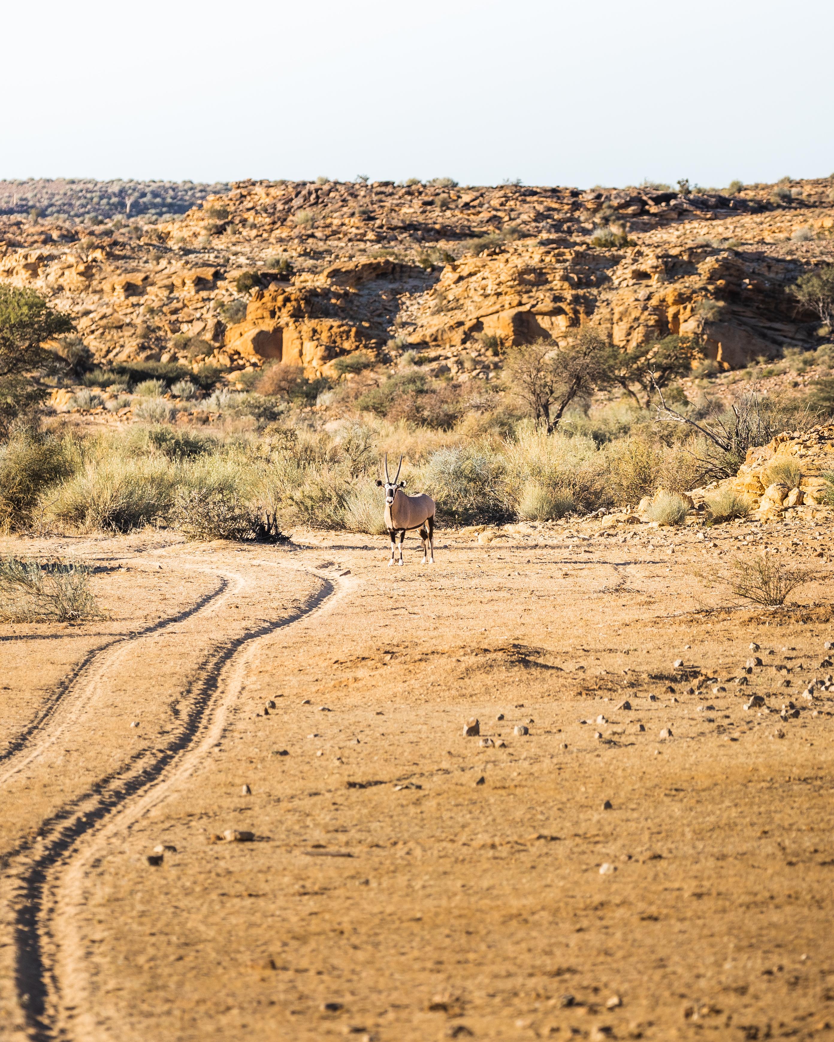 Canyon Village Stamprivier Bagian luar foto