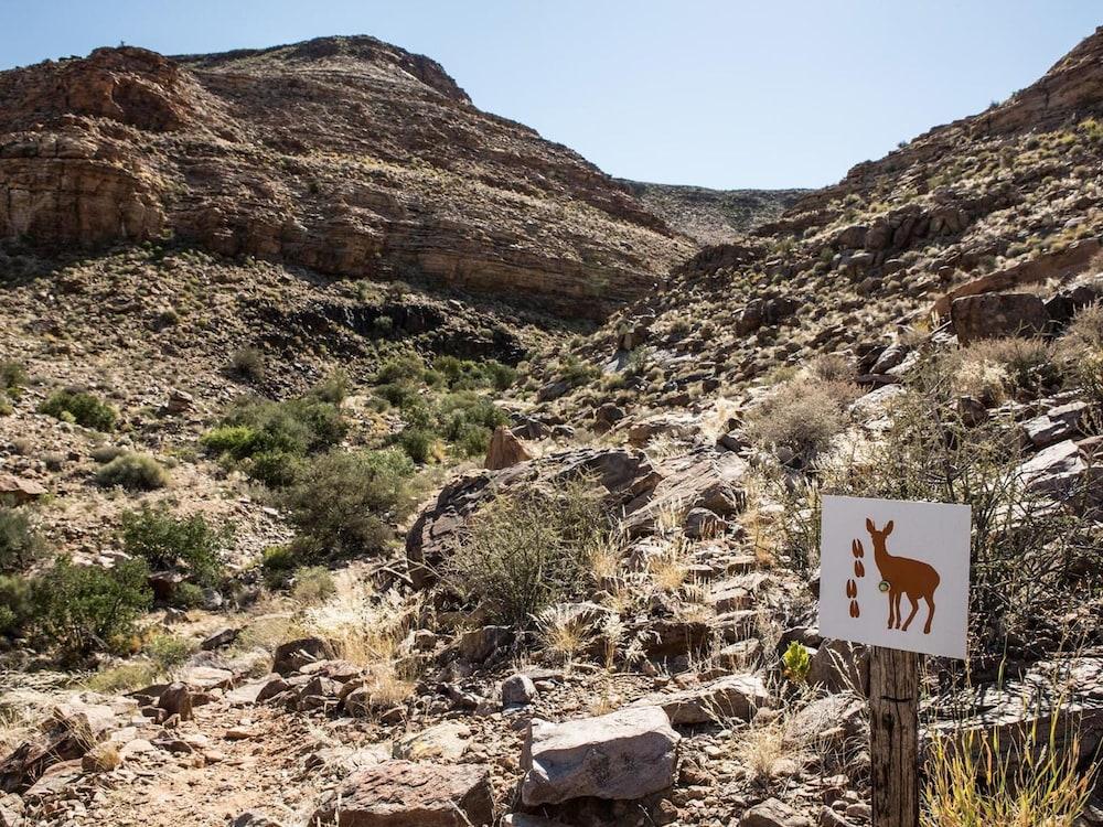 Canyon Village Stamprivier Bagian luar foto